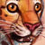 image/_leopard.jpg, 3.5K